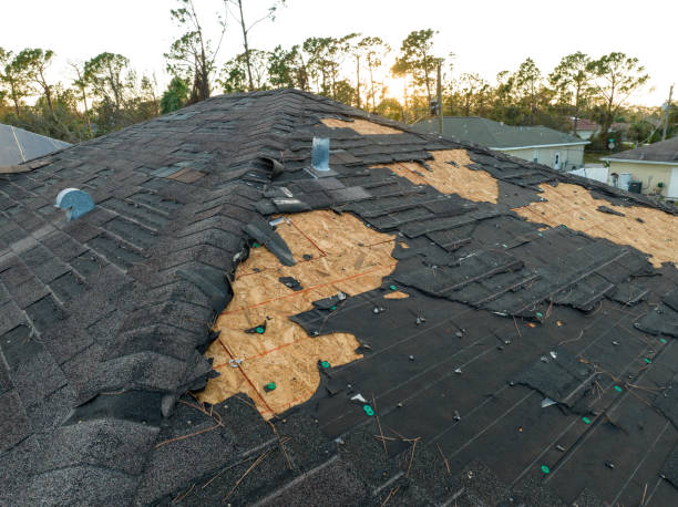 Roof Insulation in Winnsboro, LA